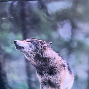 Wolf Pictures